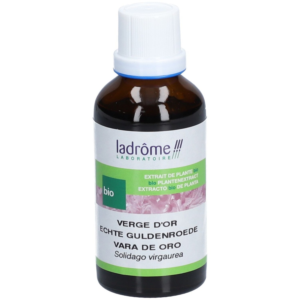Teinture mère de verge d'or - Solidago virgaurea - 50 ml