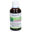 Teinture mère de verge d'or - Solidago virgaurea - 50 ml