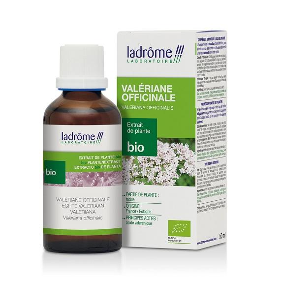 Teinture mère de valériane - Valeriana officinalis - 50 ml