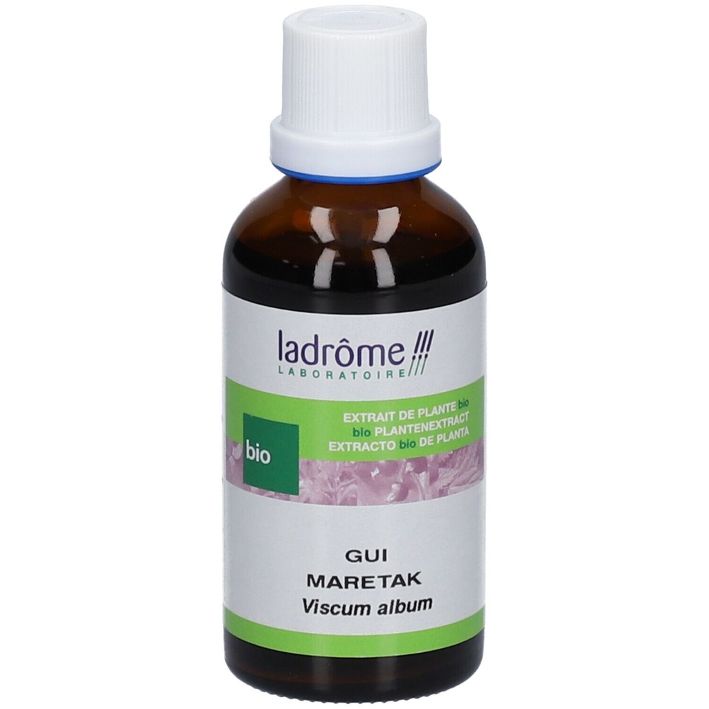 Teinture mère de gui - Viscum album - 50 ml