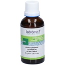 Teinture mère de gingembre - Zingiber officinalis - 50 ml