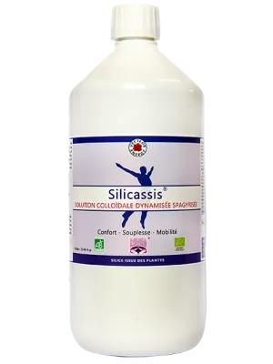 Silicassis - Silicium organique - 500 ml