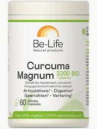 Curcuma Magnum 3200 BIO 60 Gél.