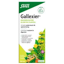 Gallexier Artichaut 250ml