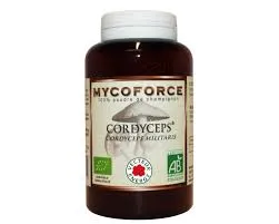 Cordyceps - 180 gélules