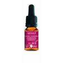 Aigremoine - agrimony n°1 - 10 ml