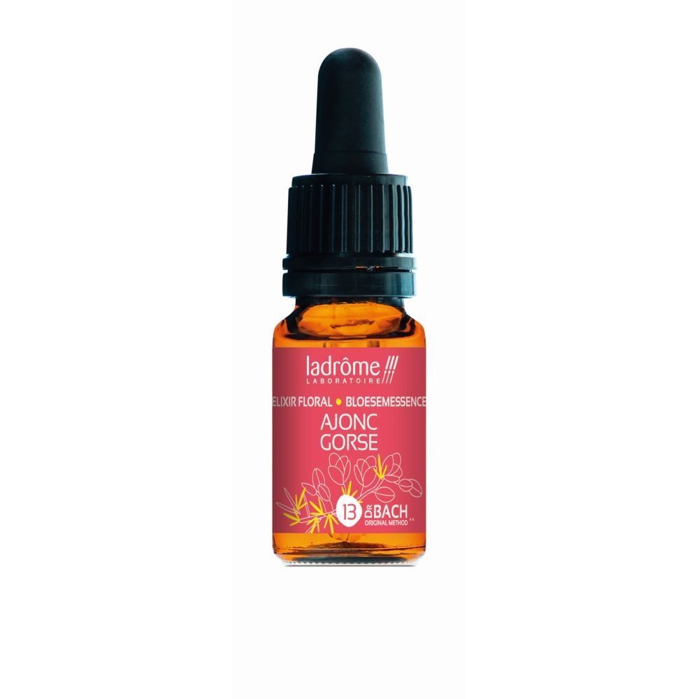 Ajonc - gorse n°13 - 10 ml