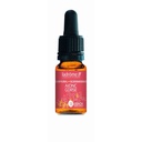 Ajonc - gorse n°13 - 10 ml
