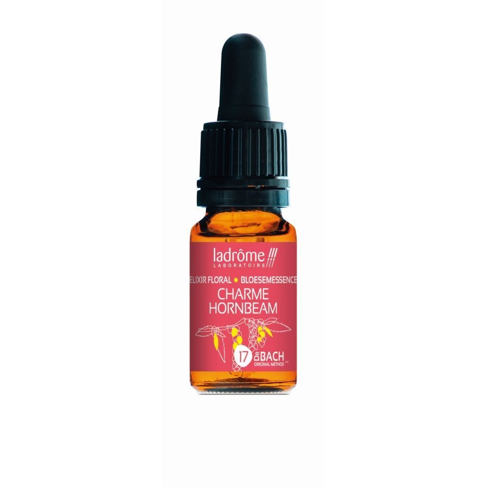 Charme commun - hornbeam n°17 - 10 ml