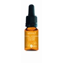 Chicorée sauvage - chicory n°8 - 10 ml