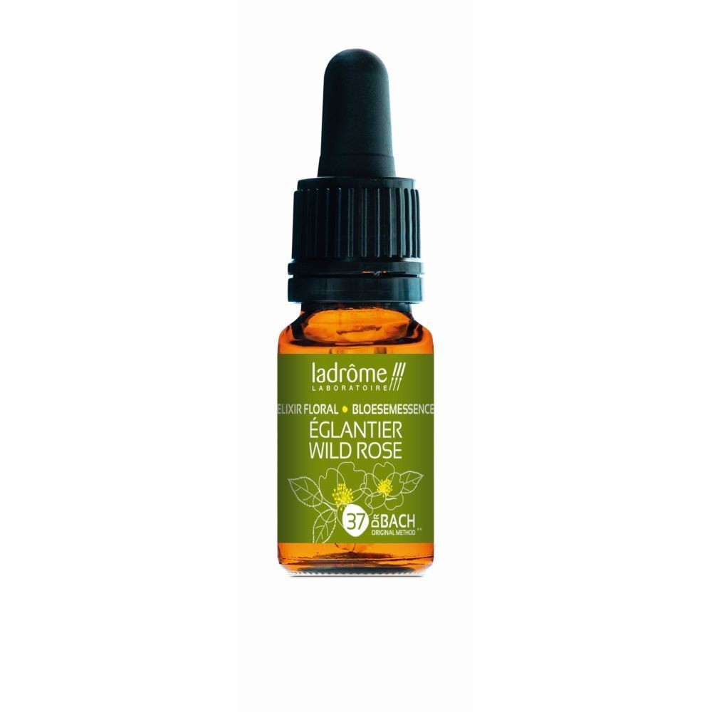 Églantier - wild rose n°37 - 10 ml