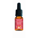 Gentiane n°12 - 10 ml