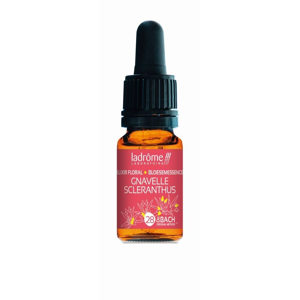 Gnavele (alène) - scleranthus n°28 - 10 ml