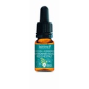 Marronier rouge - red chestnut n°25 - 10 ml