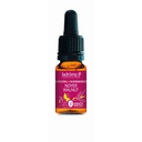 Noyer commun - walnut n°33 - 10 ml