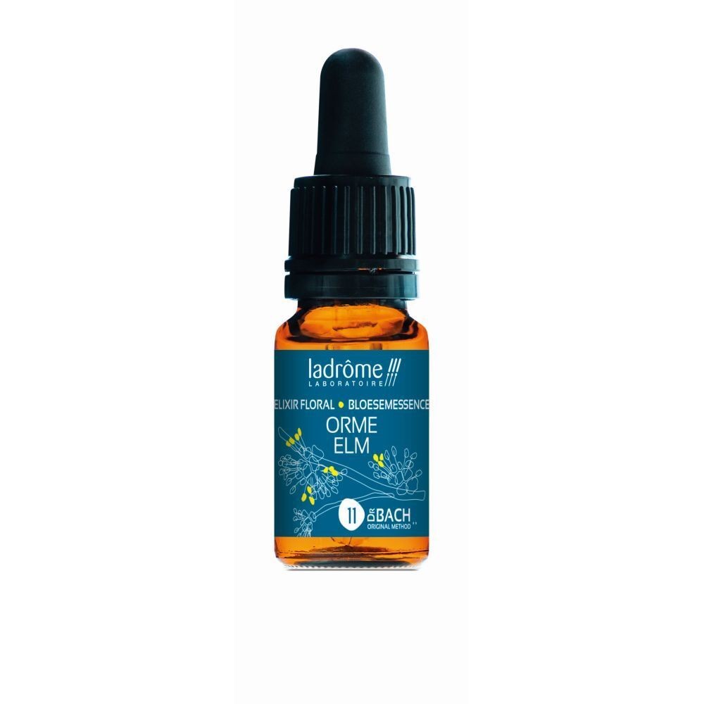 Orme - elm n°11 - 10 ml