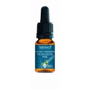Pin - pine n°24 - 10 ml