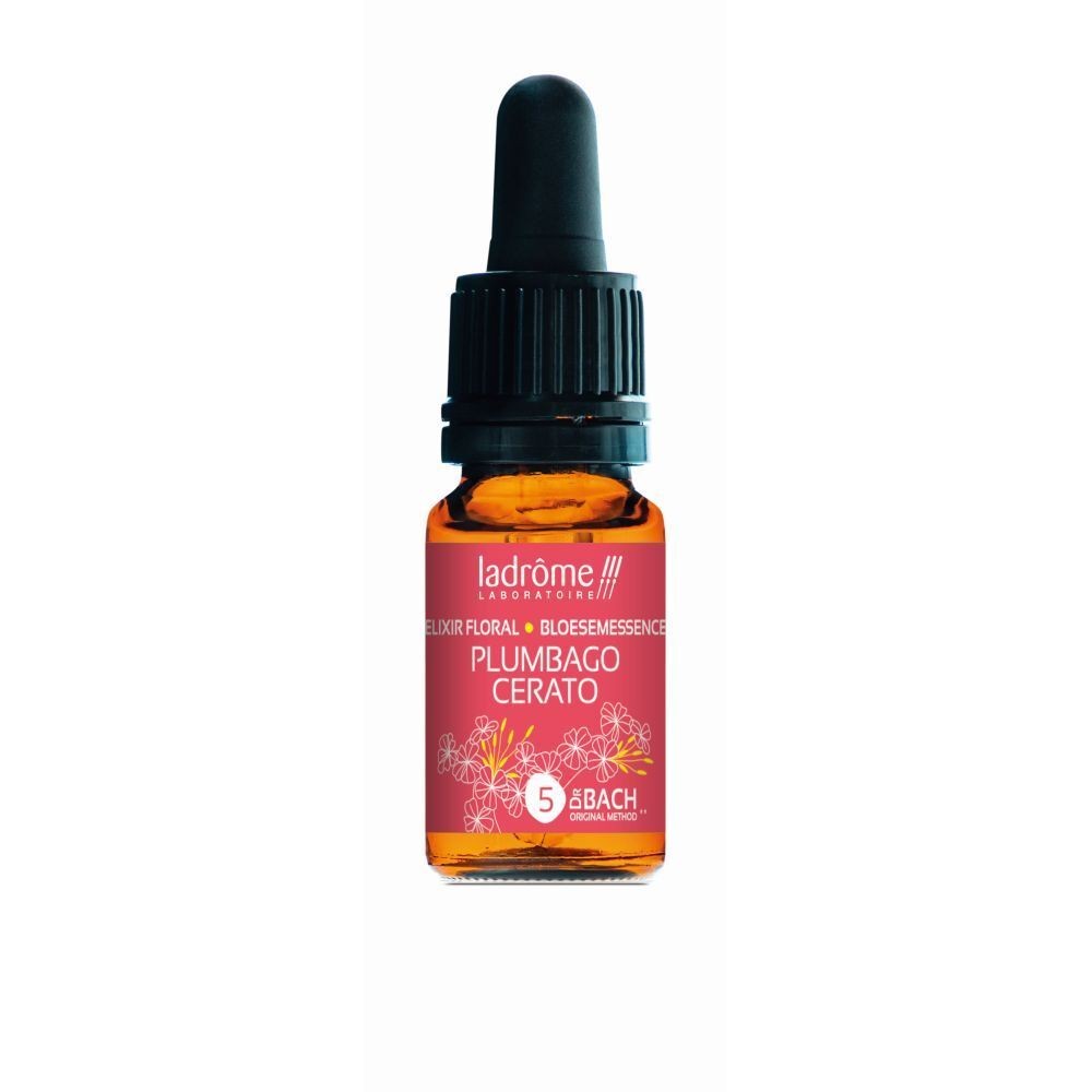 Plumbago - cerato n°5 - 10 ml