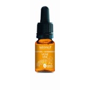 Vigne - vine n°32 - 10 ml