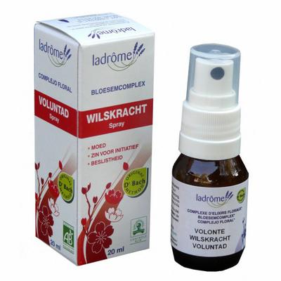 Spray volonté - 20 ml