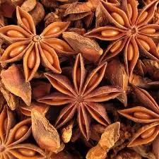 Badiane Étoilée (Illicium verum) vrac