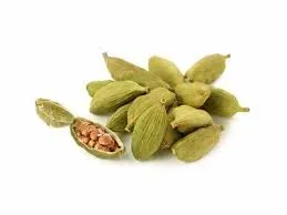 Cardamome - Elettaria cardamomum - Fruit