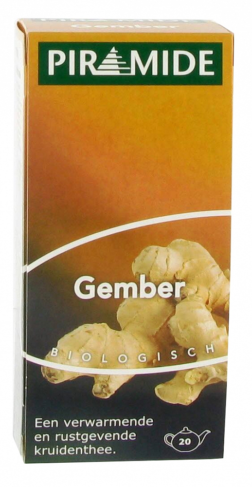 Piramide infusettes - gingembre bio 20 sachets