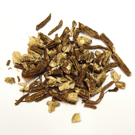Angélique Racine Coupée (Angelica archangelica)