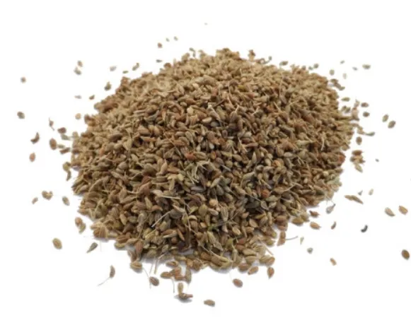 Anis vert - Pimpinella anisum