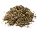 Armoise commune - Artemisia vulgaris