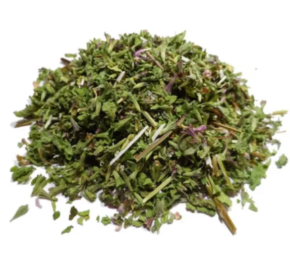 Ballote noire - Marrube noir - Ballota nigra