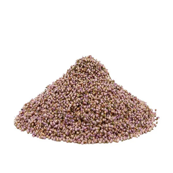 Bruyère - Calluna vulgaris - Sommité fleurie coupée