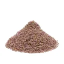 Bruyère - Calluna vulgaris - Sommité fleurie coupée