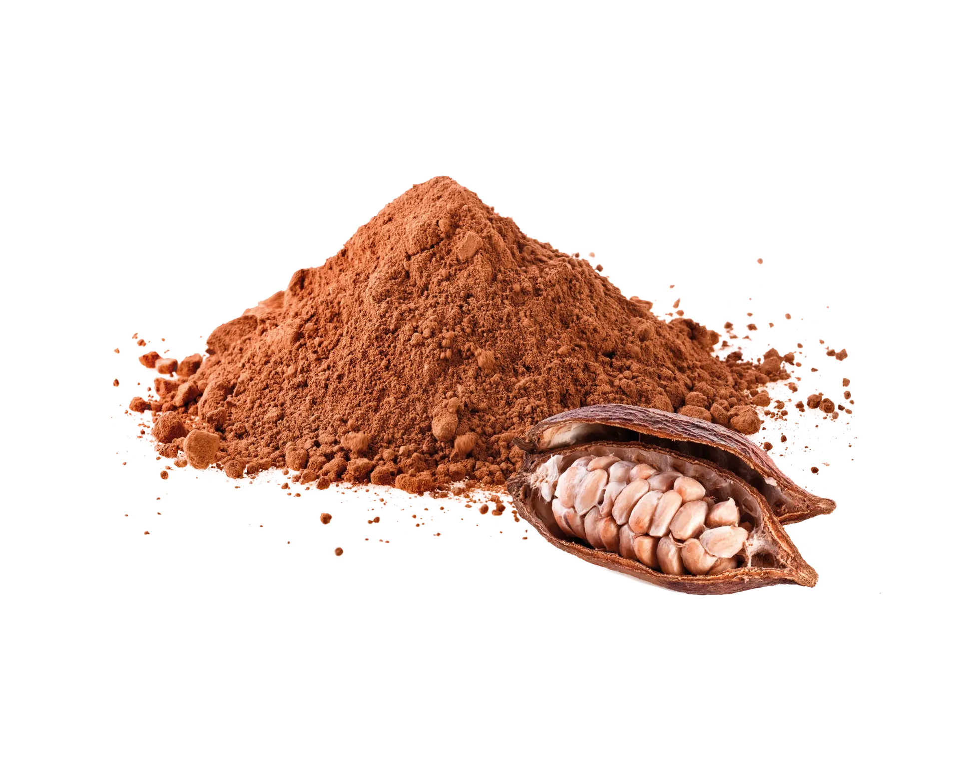 Cacao bio moulu fortement dégraissé 10-12% vrac