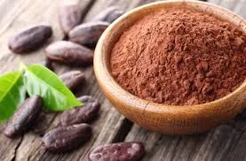 Cacao poudre 10 - 12% dégraissé torréfié 100g