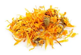 Calendula officinalis - souci pétales