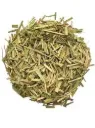 Citronnelle