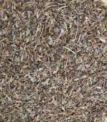 Euphraise officinale - Euphrasia officinalis