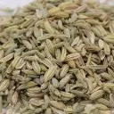 Fenouil