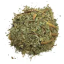 Frêne - Fraxinus excelsior