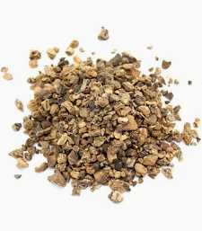 Harpagophytum procumbens - griffe du diable