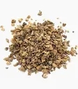 Harpagophytum procumbens - griffe du diable