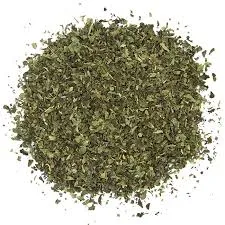 Menthe Poivrée - Mentha x piperita - Feuille