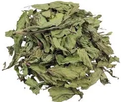 Menthe verte - feuilles