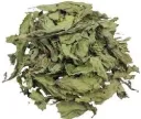 Menthe verte - feuilles