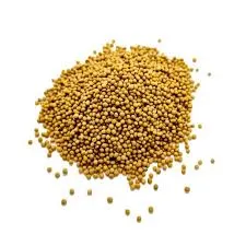 Moutarde (graines) 100g