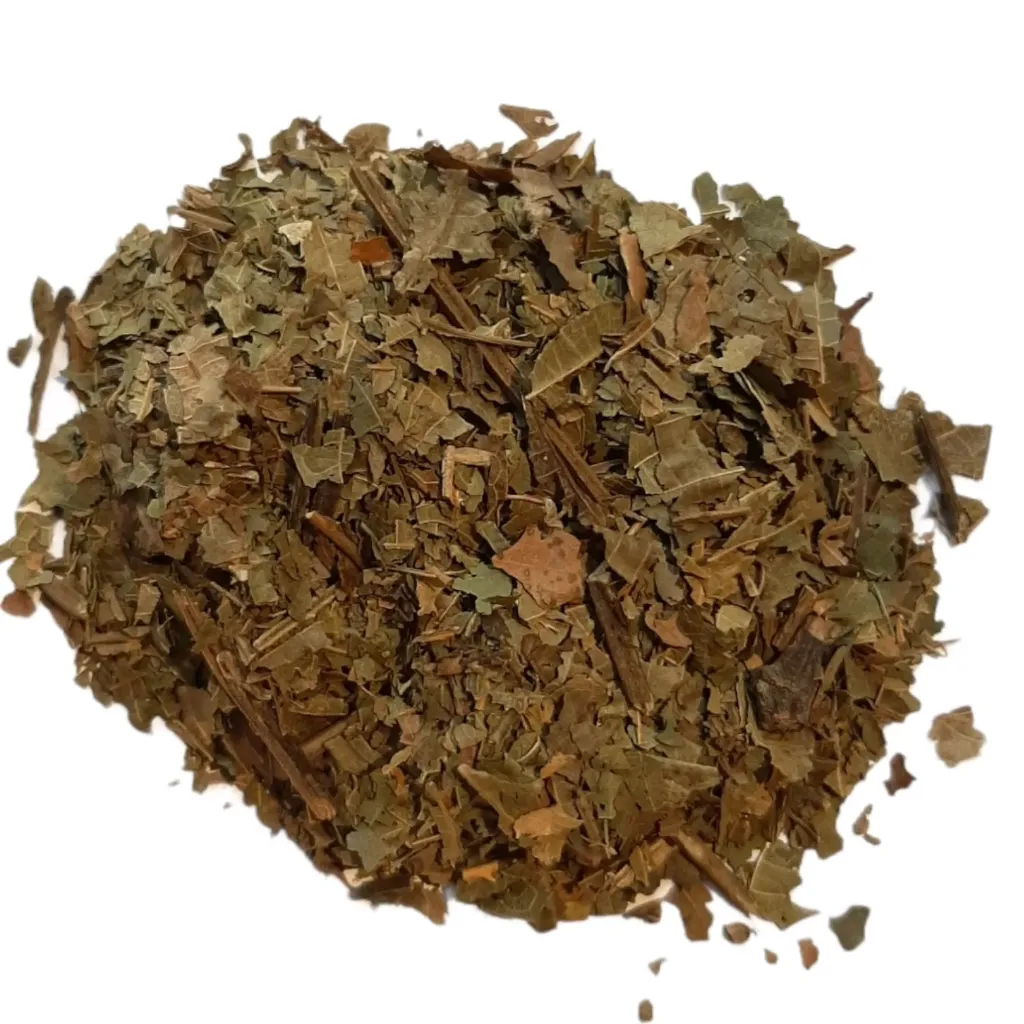 Noyer (feuilles) - Juglans regia