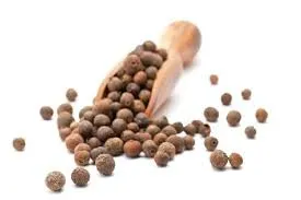 Piment de la Jamaïque - Pimenta dioica