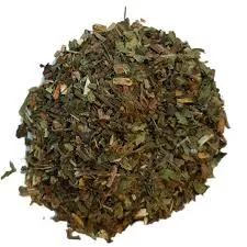 Pissenlit feuille