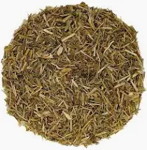 Reine des prés Filipendula ulmaria